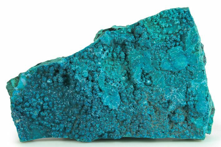 Brilliant Teal Botryoidal Chrysocolla and Malachite - Chile #299544